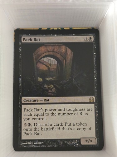 Pack rat from return to - -,